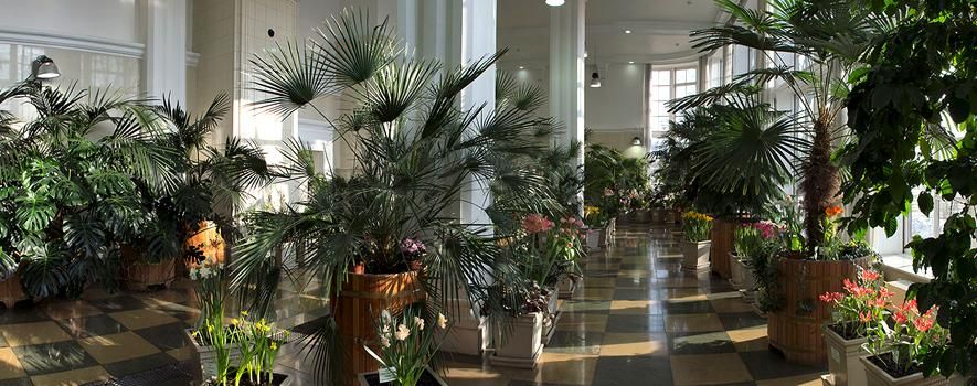 Постоянная экспозиция Царицынских оранжерей «Зимний сад императрицы»