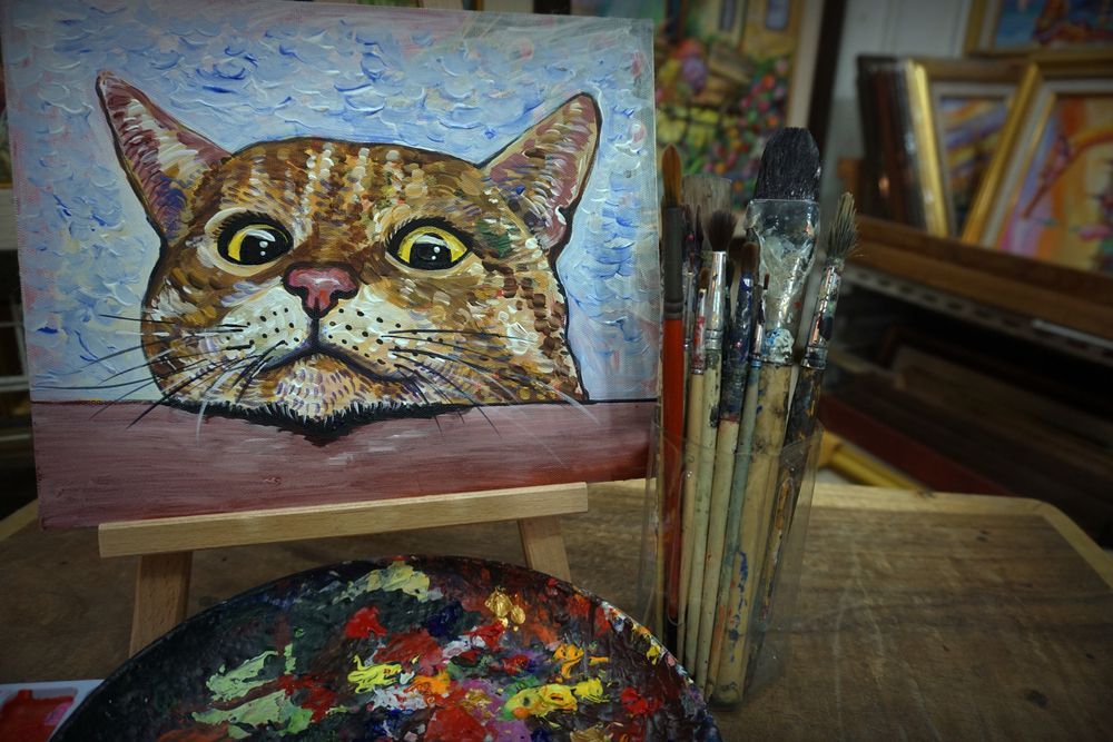 «Кошачья Вселенная»